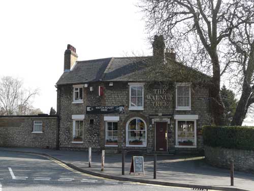 Picture 1. The Walnut Tree, Maidstone, Kent