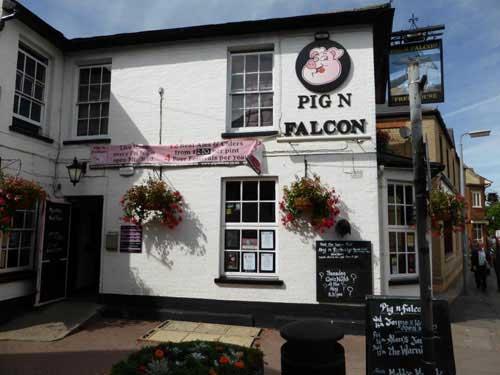 Picture 1. Pig n Falcon, St Neots, Cambridgeshire