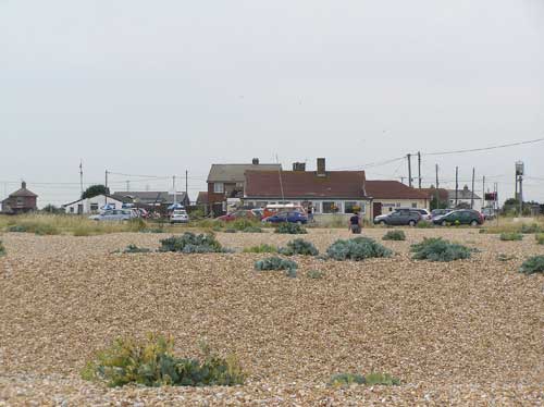Picture 1. The Pilot, Dungeness, Kent