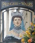 The pub sign. Princess of Wales, Charing Cross, Central London