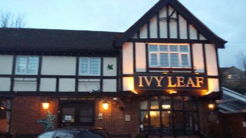 Picture 1. Ivy Leaf, Dartford, Kent