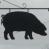 Pub sign for Black Pig, Hawkhurst