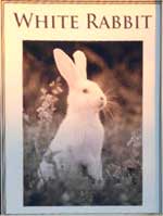 The pub sign. White Rabbit, Maidstone, Kent