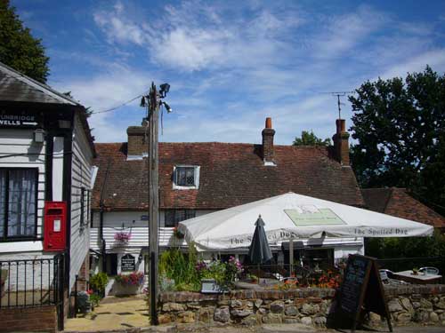 Picture 2. The Spotted Dog, Smarts Hill, Penshurst, Kent
