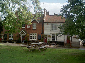 Picture 1. The Swan on the Green, West Peckham, Kent