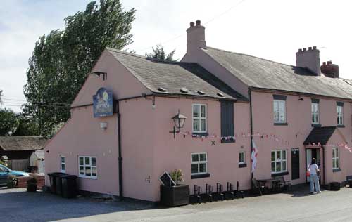 Picture 1. The Romping Cat, Old Woods, Shropshire