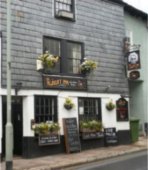 Picture 1. The Albert Inn, Totnes, Devon