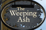 The pub sign. The Weeping Ash, St Neots, Cambridgeshire