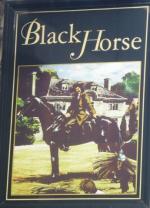 The pub sign. Black Horse, Willington, Durham