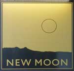 The pub sign. New Moon, City, Central London