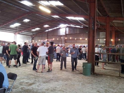Picture 1. Kent Beer Festival 2015, Canterbury, Kent