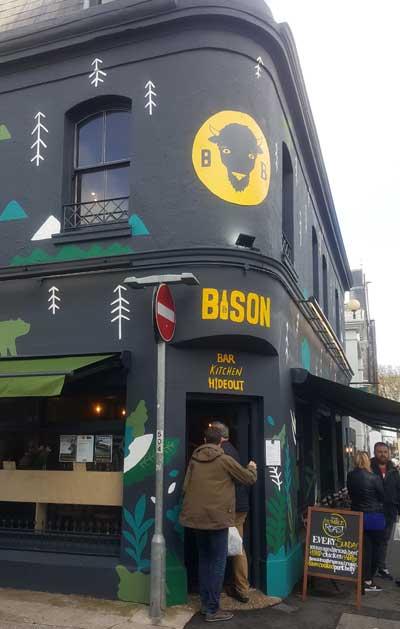 Picture 1. Bison, Brighton, East Sussex
