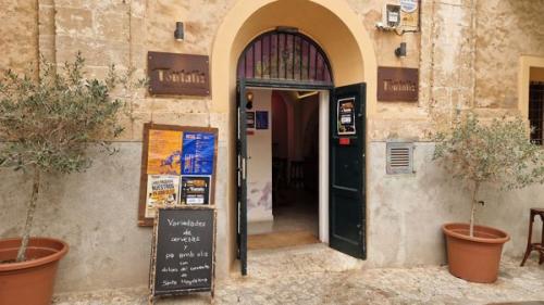 Picture 1. Toutatis, Palma, Spain