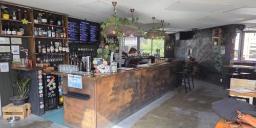 Picture 1. Beech Tree, Queenstown, New Zealand