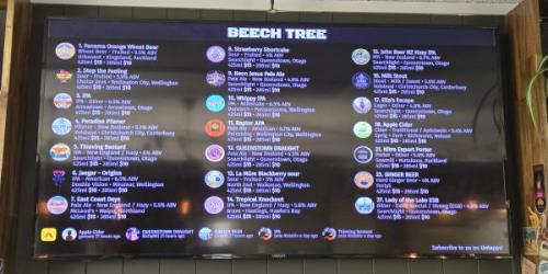 Picture 2. Beech Tree, Queenstown, New Zealand