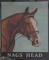 Pub sign for Nags Head, Reading
