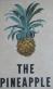 Pub sign for The Pineapple, Kentish Town