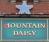 Pub sign for Mountain Daisy, Sunderland